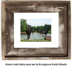 horse trail rides near me in Evergreen Park, Illinois